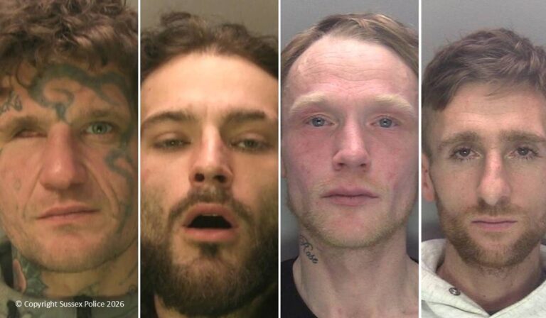 20260311 4 jailed joint landscape