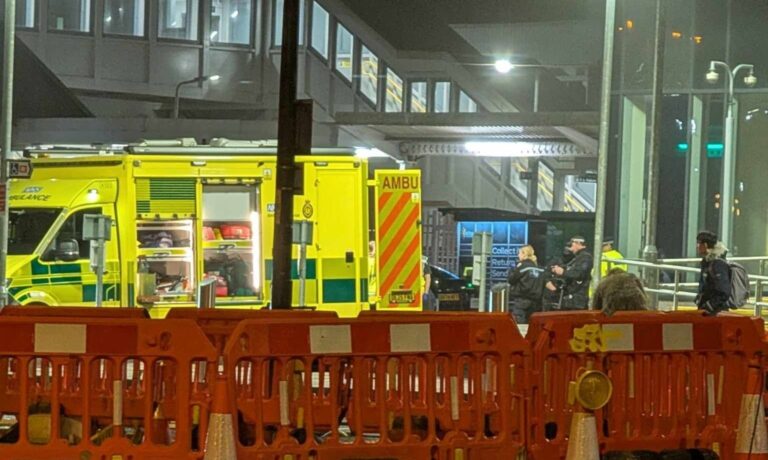 648429084 1241048458237320 8562720891478202789 n e1772983526619