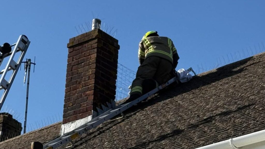 654724837 122116934529173101 2332565633648801927 n e1773829831432