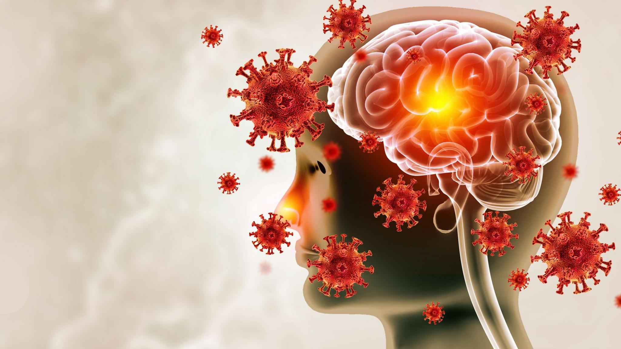 74c78d90 2119 11f1 97c2 f5f000687aac