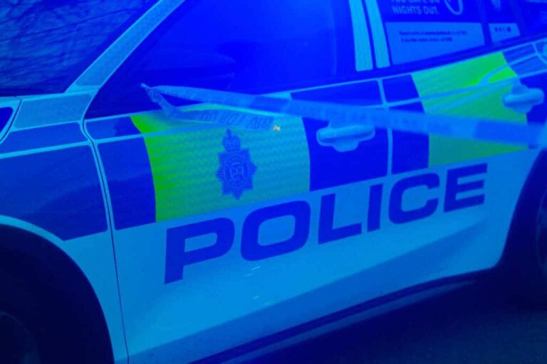 IMG 3274 1024×683 1