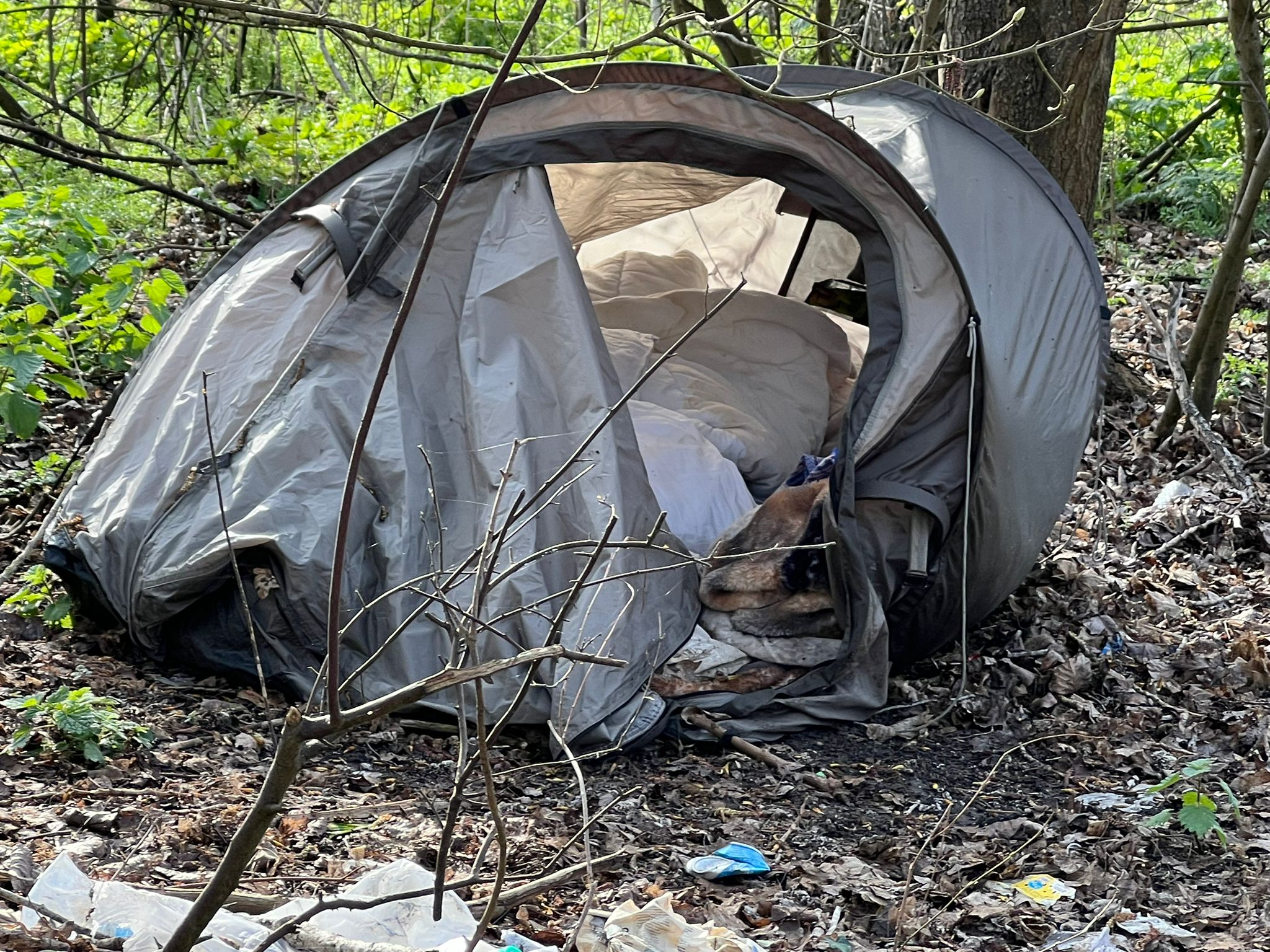 Tragic Blaze Claims Young Man’s Life in Berkshire