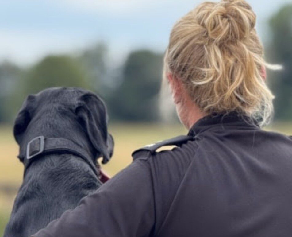 Rescue Dog Dexter Sniffs Out Crime with Wiltshire Police – UKNIP