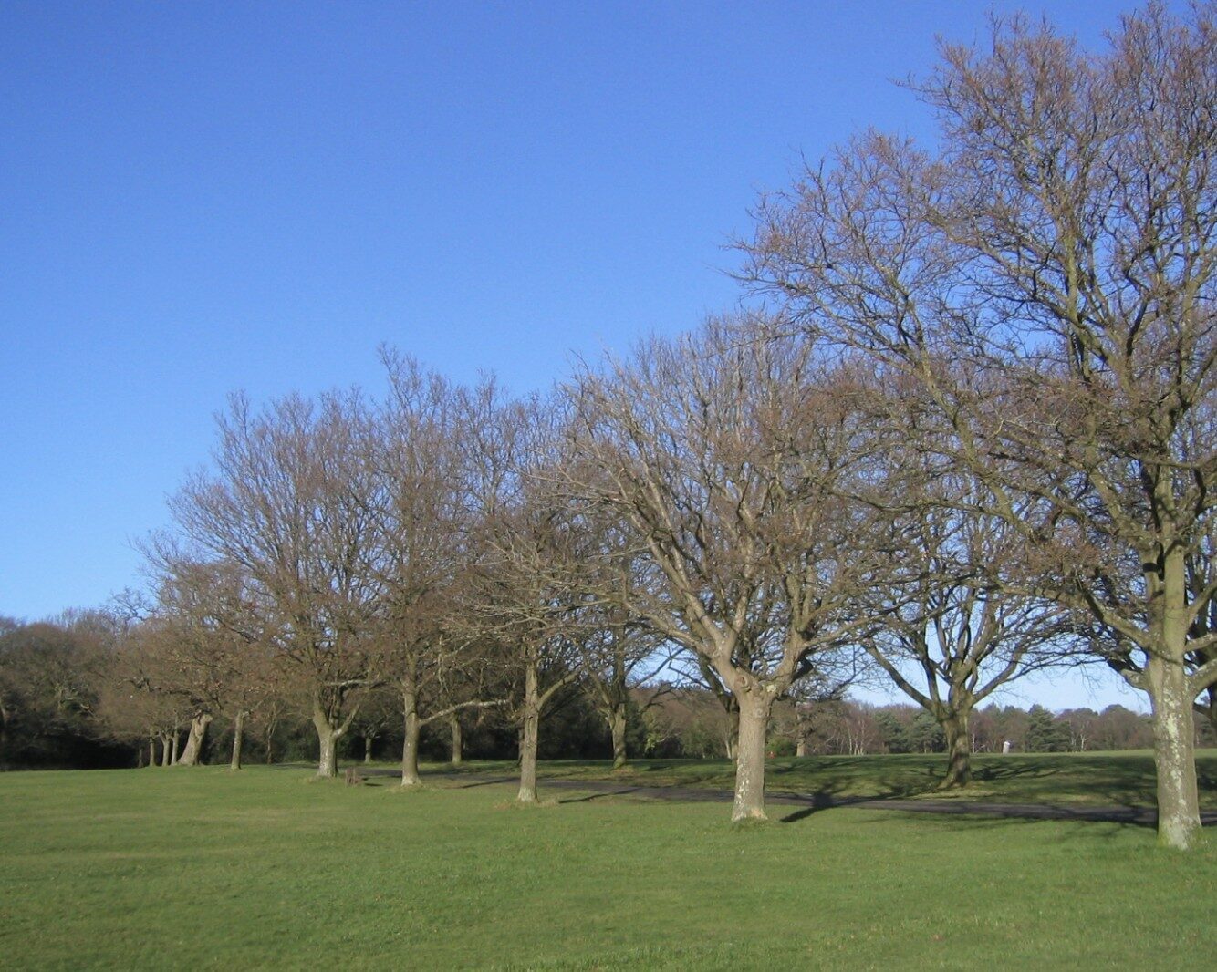 Mystery Surrounds Body Found in Southampton Wildlife Reserve ? UKNIP