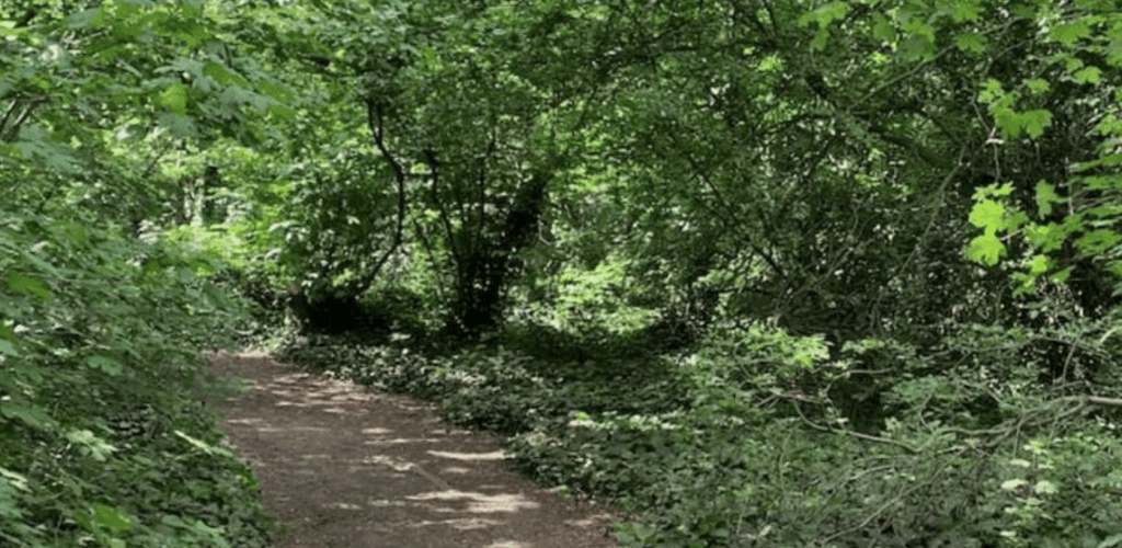 Police Hunt Man After Shocking Attempted Rape in Islington Park