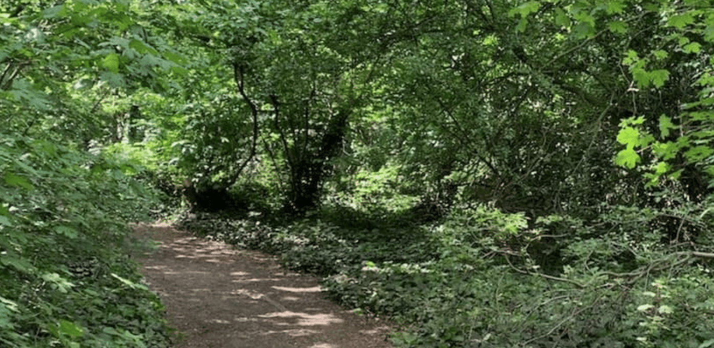 Police Hunt Man After Shocking Attempted Rape in Islington Park