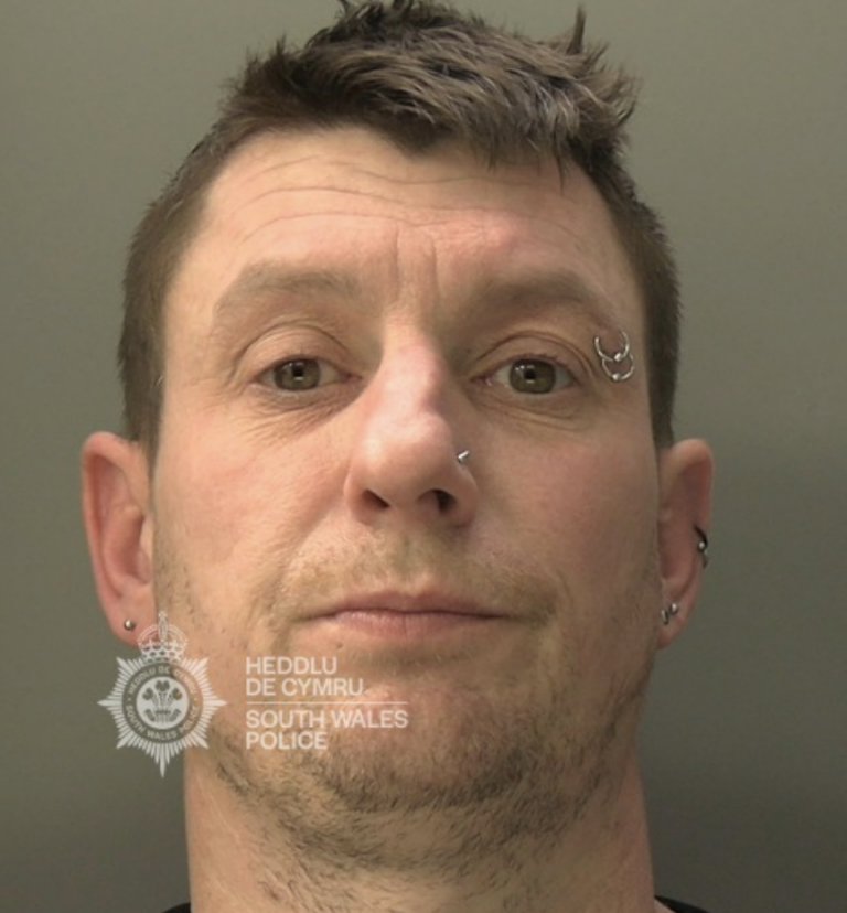 Man Jailed for Attacking Three Kids in South Wales Park image