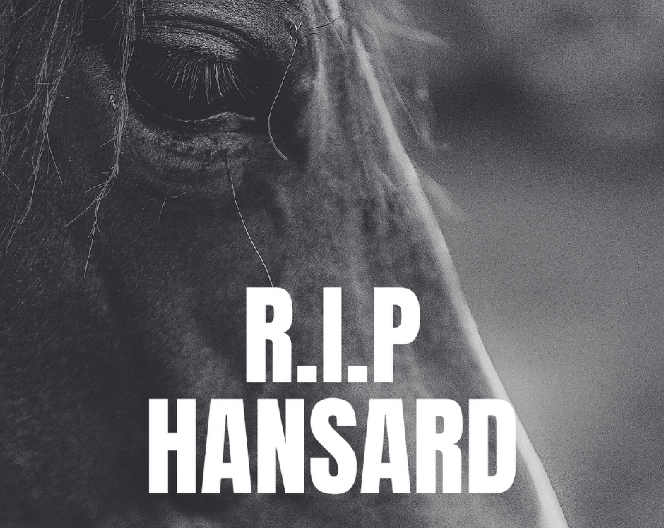 Racehorse Hansard Dies at Cheltenham, RSPCA Devastated as 20th Death of 2026 Hits Racing image