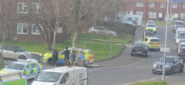 Three arrested after daytime brawl in Eastbourne street