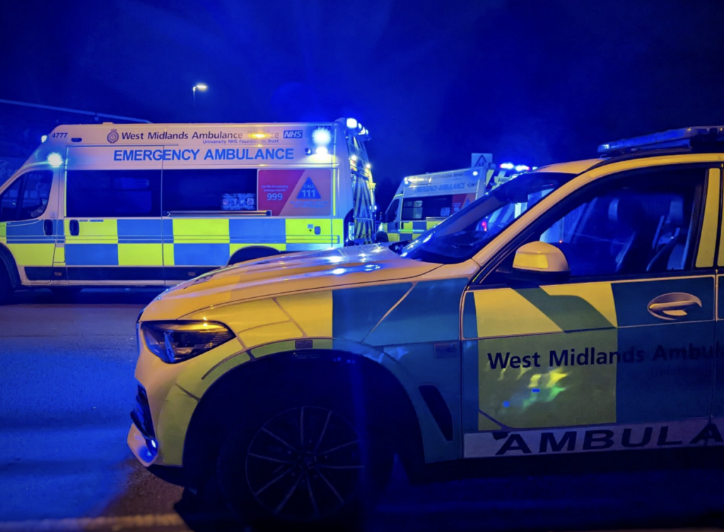 Three Girls Aged 12 to 14 Charged Over Teen Stabbing in Village Park