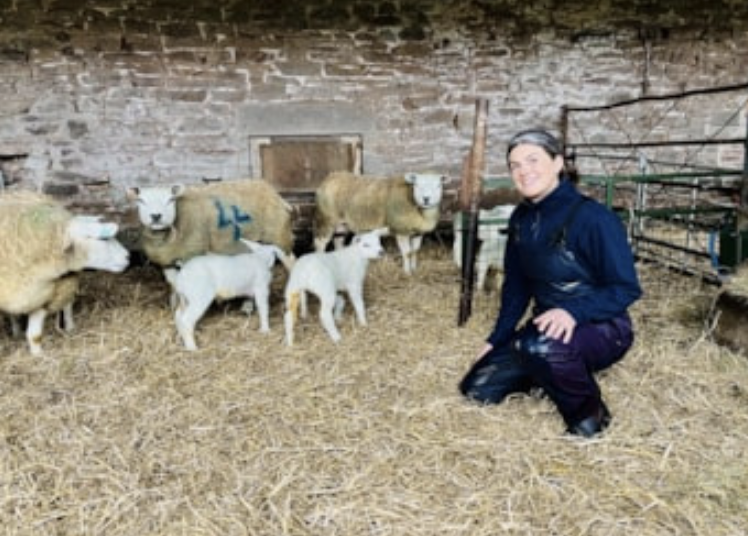 Welsh Vet Network Smashes Antibiotic Stewardship Targets