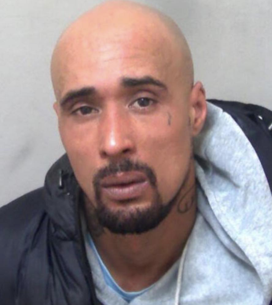 XL Bully Owner Jailed After Fatal Attack on 68-Year-Old Woman