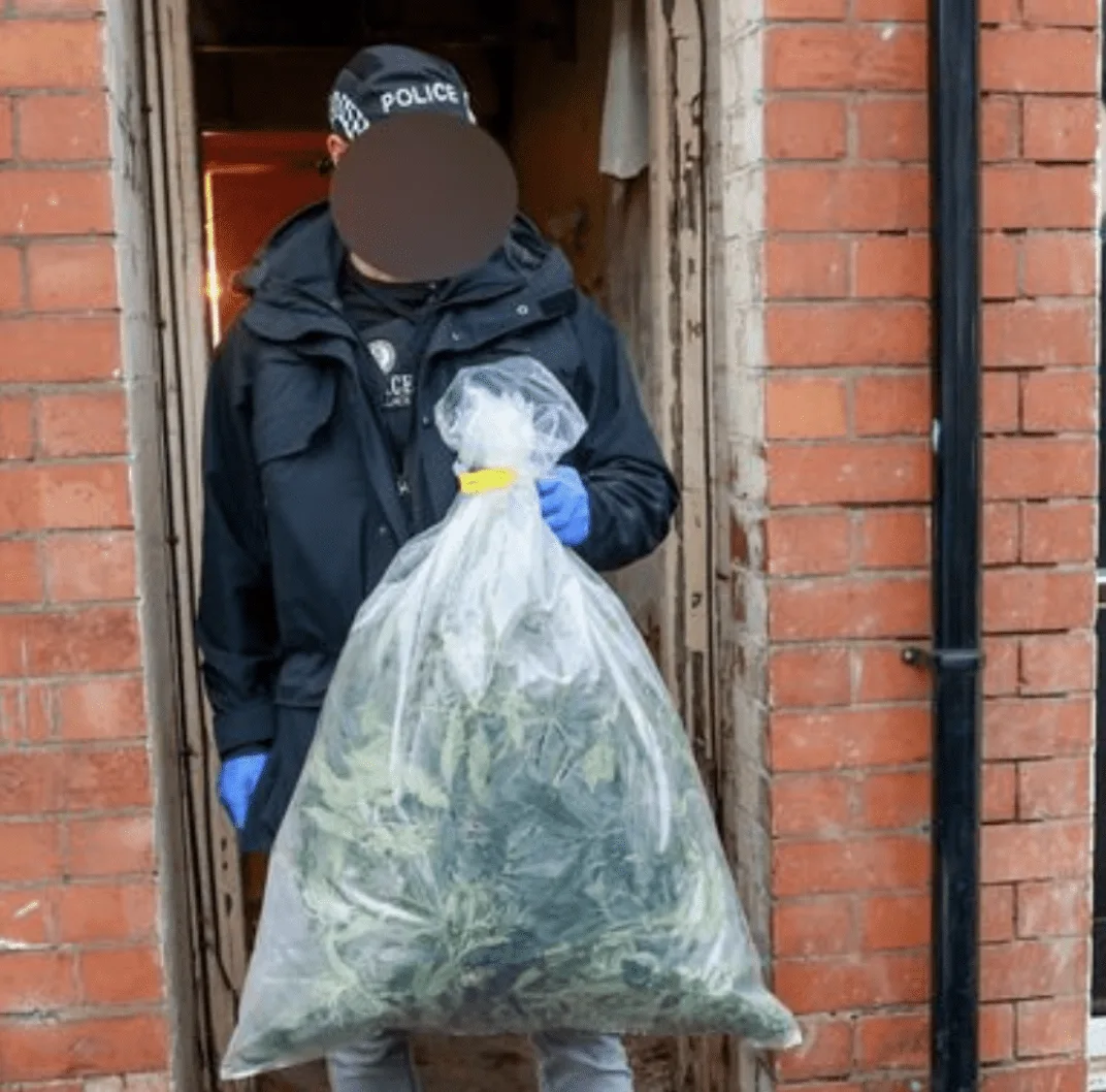 Coventry Cops Smash £230k Cannabis Factory in Deadly Drug Farm Crackdown