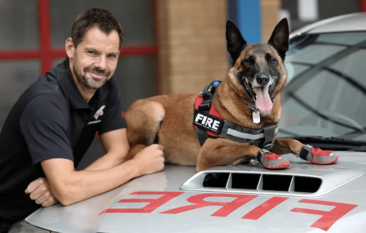 West Midlands Fire Service Mourns Beloved K9 Hero Kai After Sudden Blindness and Passing
