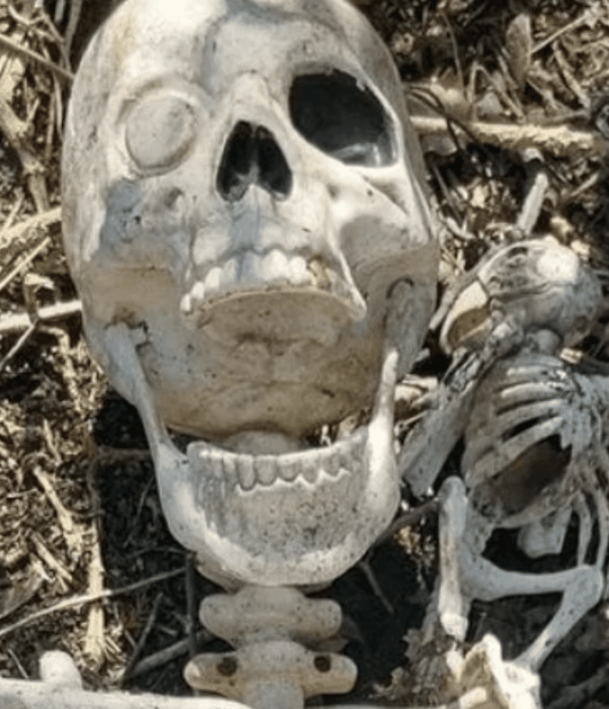 A Pile Of Human Bones Was Reported To The Police By A Member Of The Public In The Long Eaton Area Of Derbyshire, Which Was Later Found To Be A Toy Model Of Captain Hook Complete With His Pet Parrot And A Hook For A Hand