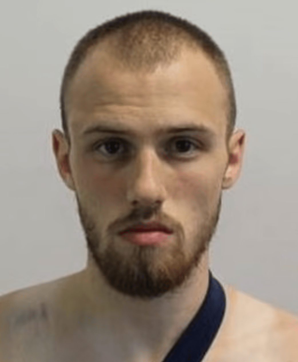 A Man Who Sprayed Ammonia Into The Face Of A Met Officer Before Threatening Him With A Gun Has Been Jailed