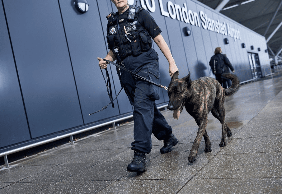 A Woman Is Due To Appear In Court Tomorrow To Face A Charge In Connection With A Security Alert On Board An Easyjet Flight At #stansted Airport