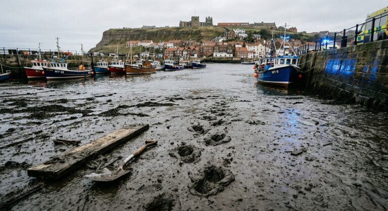 d57d5264 b1c4 4f8a 8327 d8251f7d0e71 2816x1536