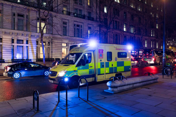 istockphoto 1724261750 612×612 1768862979 leuq82