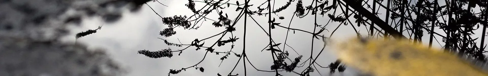 Wettest March In Over 40 Years For England