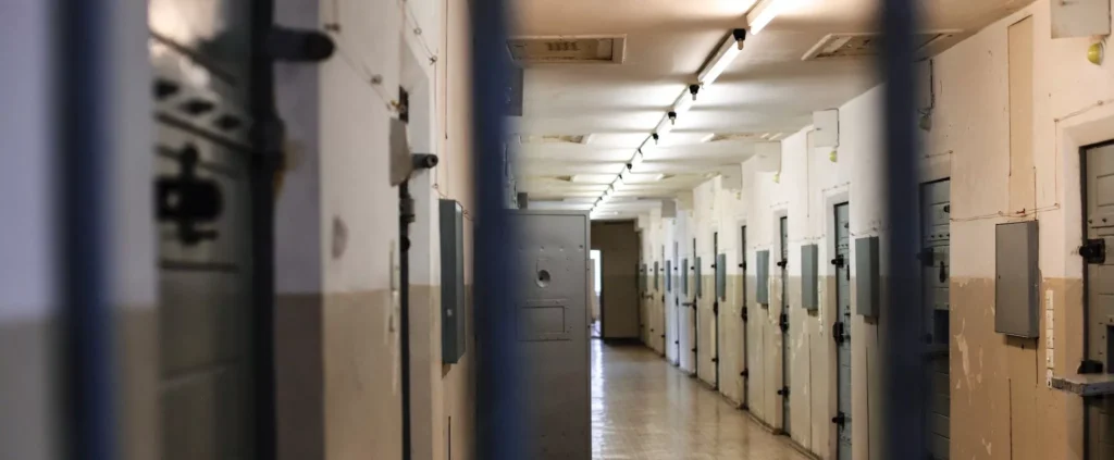 Detectives Working For South Yorkshire Police Internet And Sexual Offences Team (isot) Spent Almost A Year Building An Ironclad Case Against A Sheffield Paedophile Who Had Raped And Repeatedly Sexually Assaulted His Young Children.