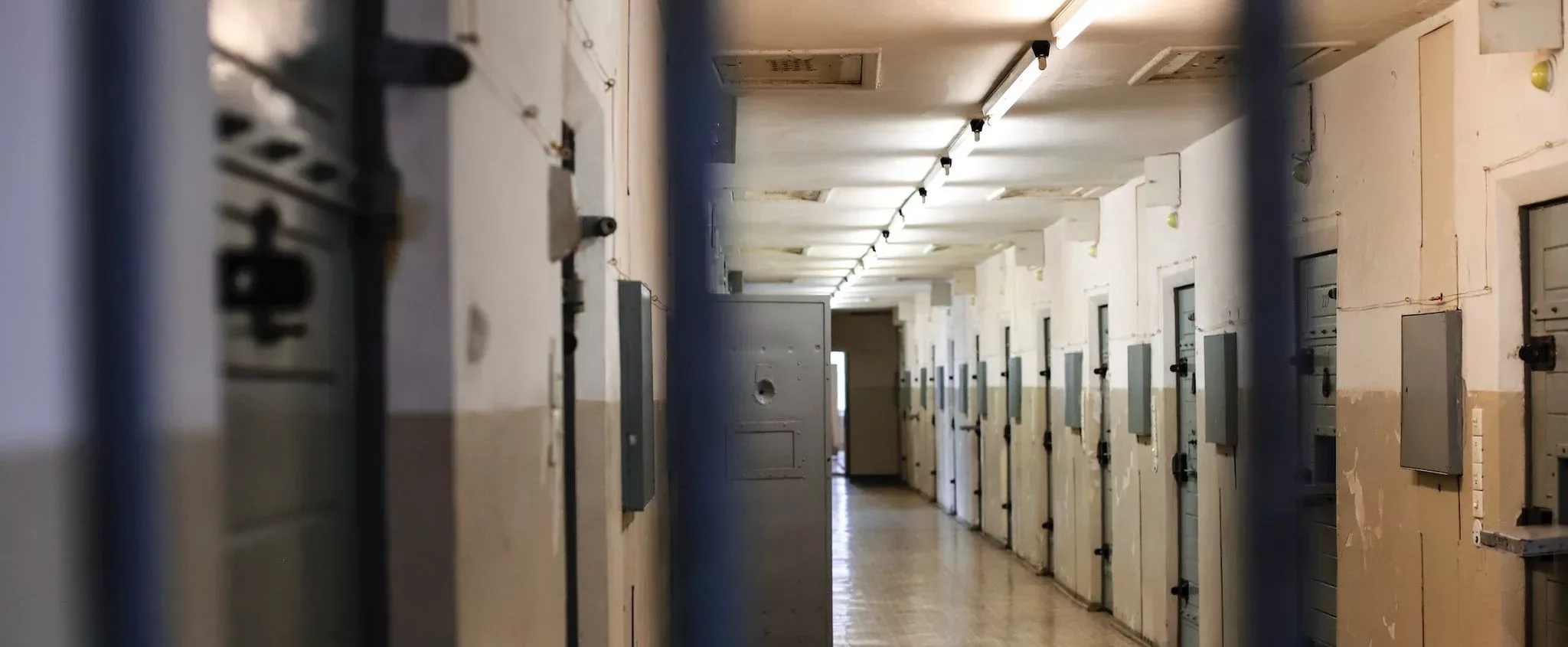 Detectives Working For South Yorkshire Police Internet And Sexual Offences Team (isot) Spent Almost A Year Building An Ironclad Case Against A Sheffield Paedophile Who Had Raped And Repeatedly Sexually Assaulted His Young Children.