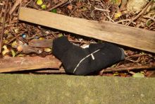 Two Men Jailed For Firearms Offences Following Leeds Shooting Investigation