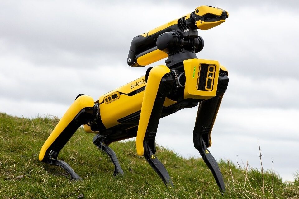 Programmers Showcase Robotic Dogs for Bomb Disposal Tasks at Defence AI Centre Hackathon