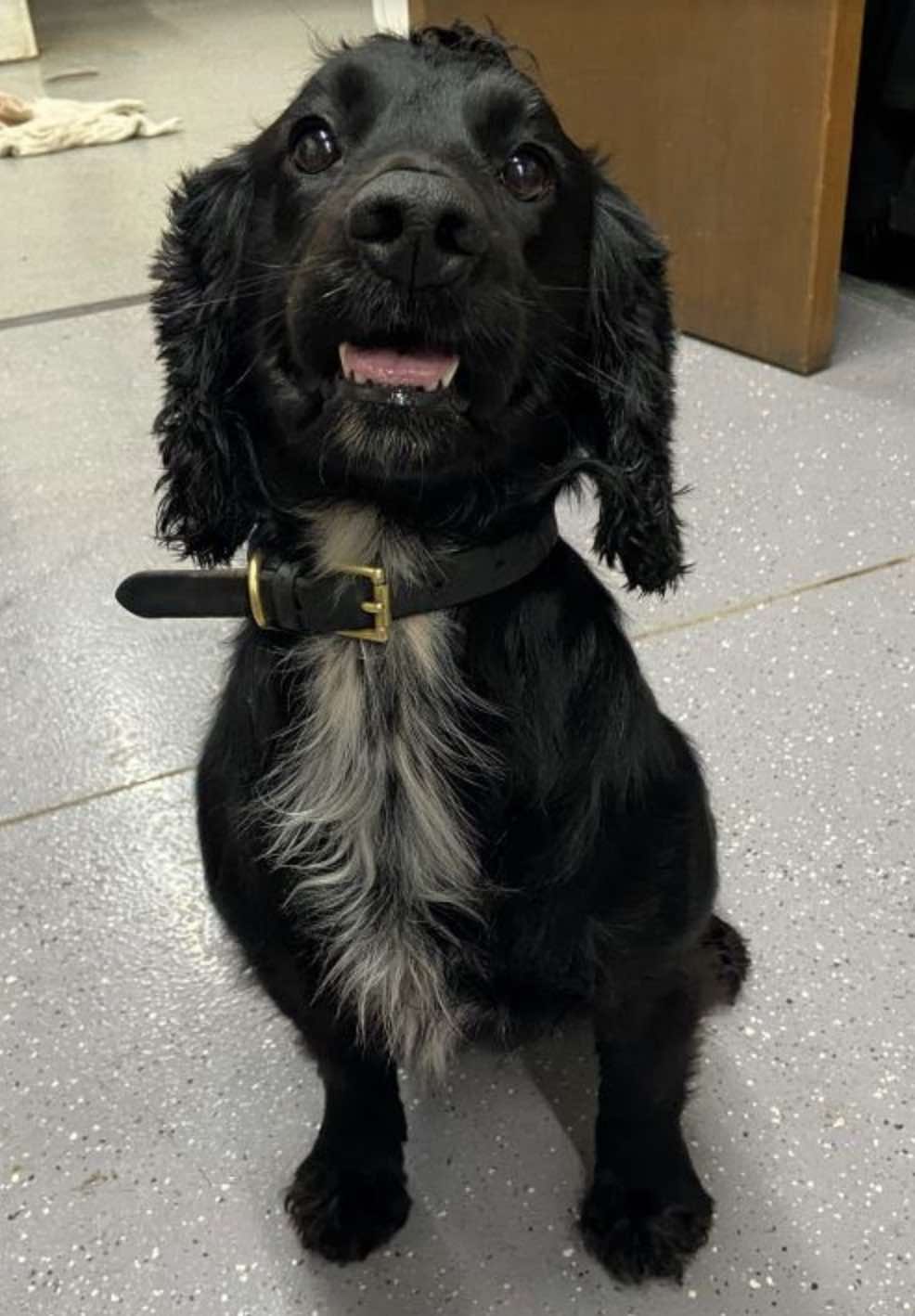 Almost Two Kilos Of Cocaine Seized In Drugs Raid Near Maidstone