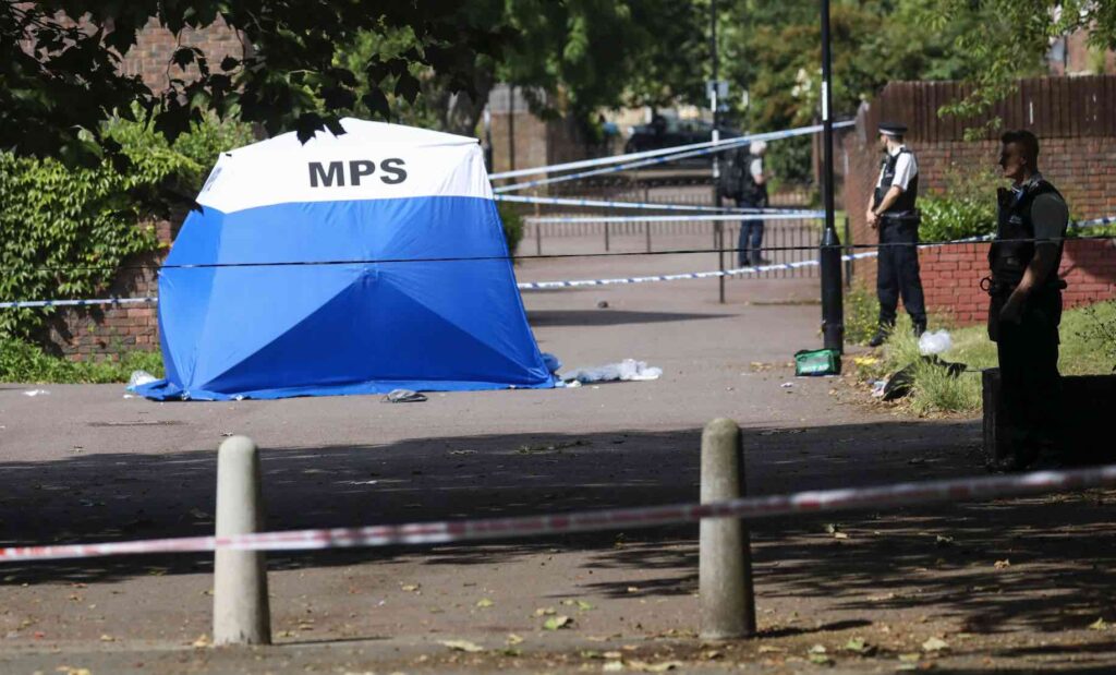 A Murder Investigation Has Been Launched Following The Fatal Stabbing Of A Teenager In Sydenham