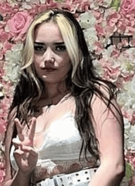 Swanage Woman Dies after Cliff Fall in Dorset