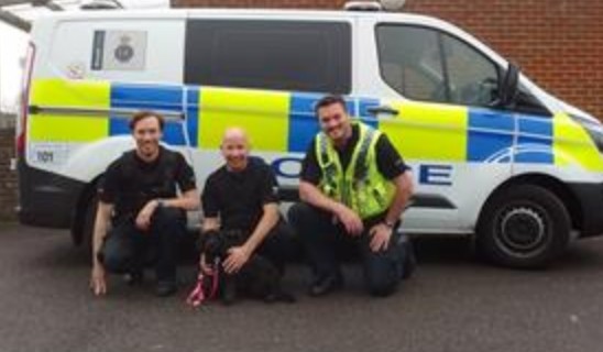 Dog Found Safe and well after Public give Police a number of leads