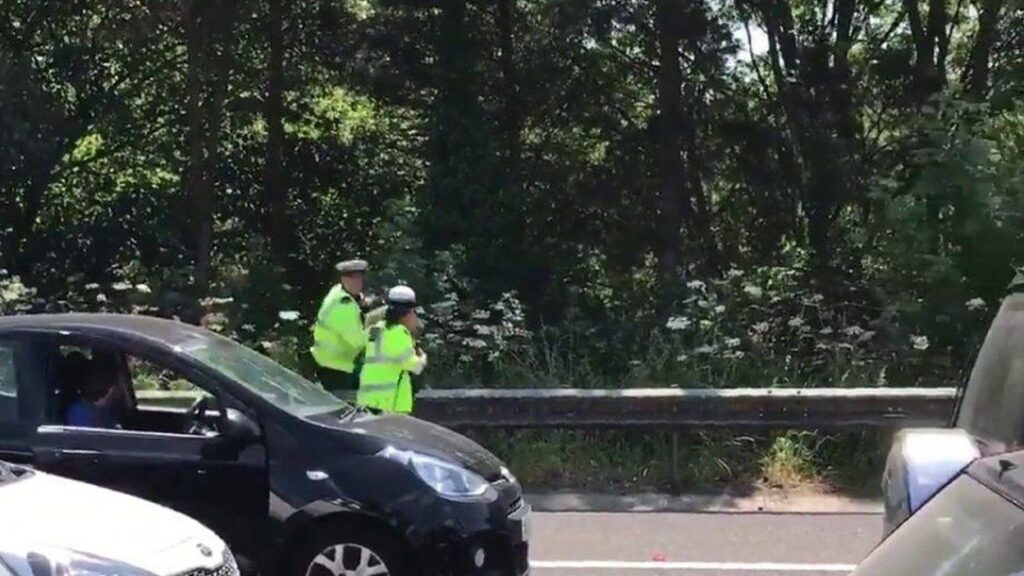 Traffic Ham On The M27 After After Pigs Escape