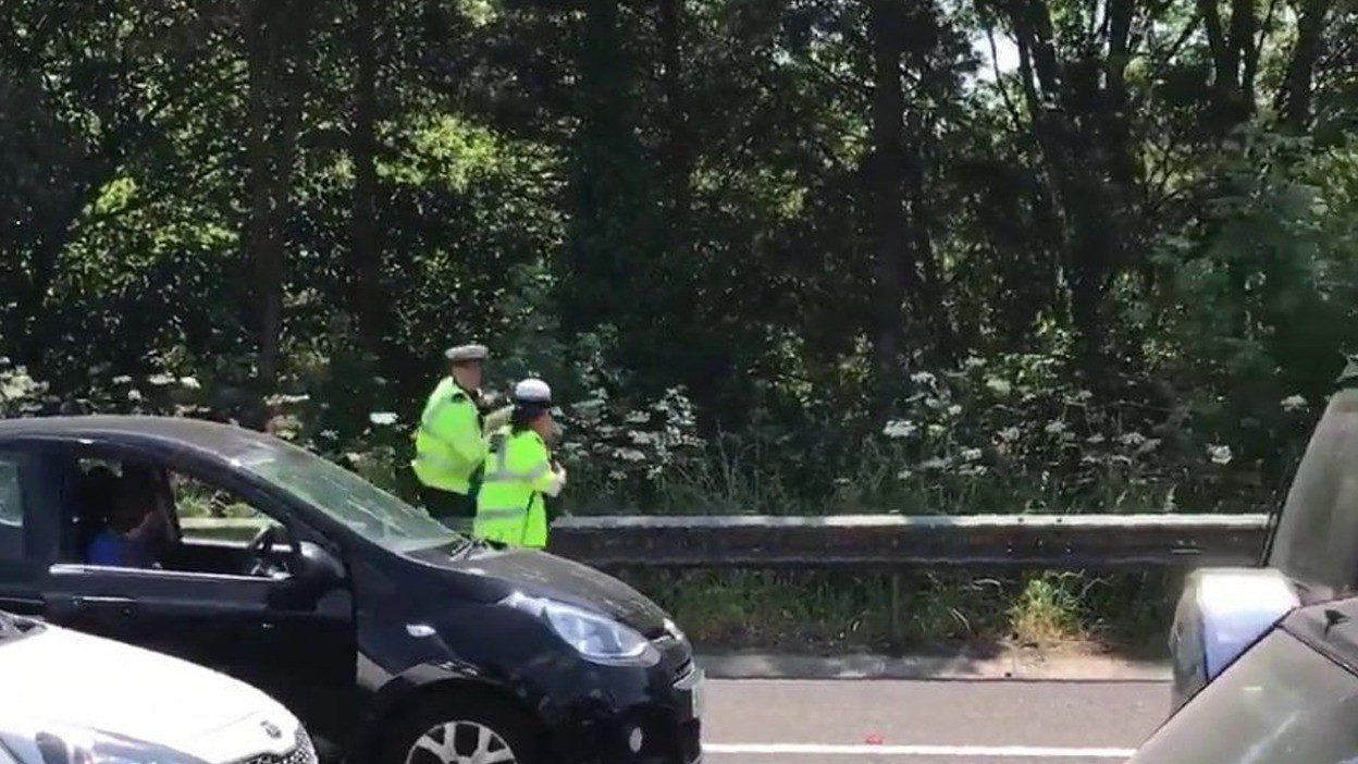 Traffic Ham On The M27 After After Pigs Escape