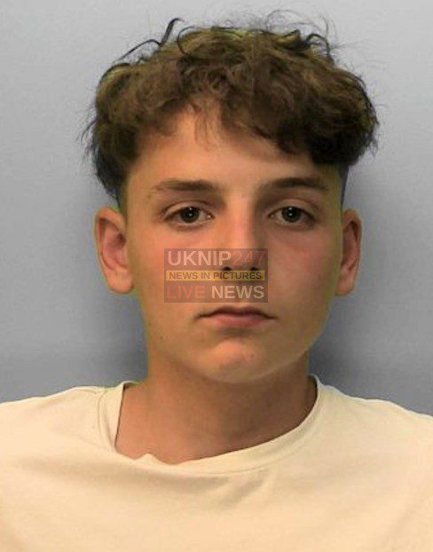 Concern for missing Regan White from Brighton