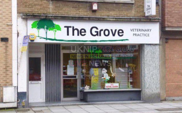 Vet Practice Latest Victim In Crimewave To Hit Southsea