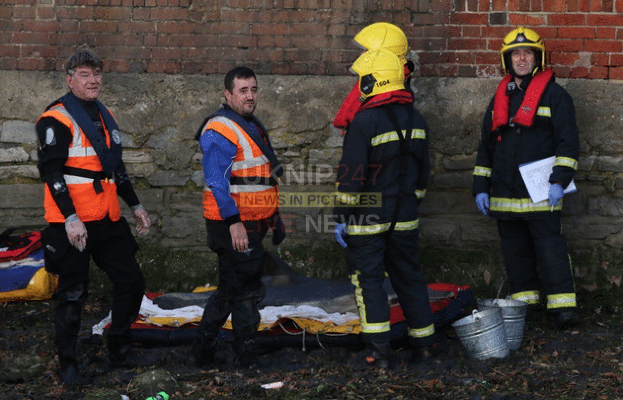 Major Rescue Operation By Emergency Services To Free Trapped Dolphin In Fareham