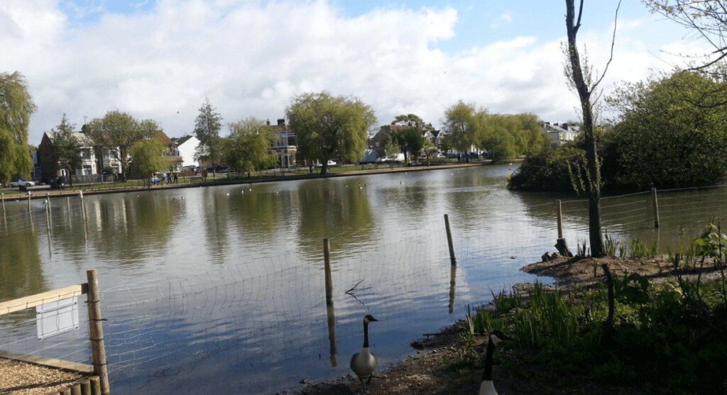 Police Probe After Portsmouth School Girls Flashed at by balaclava Covered Man
