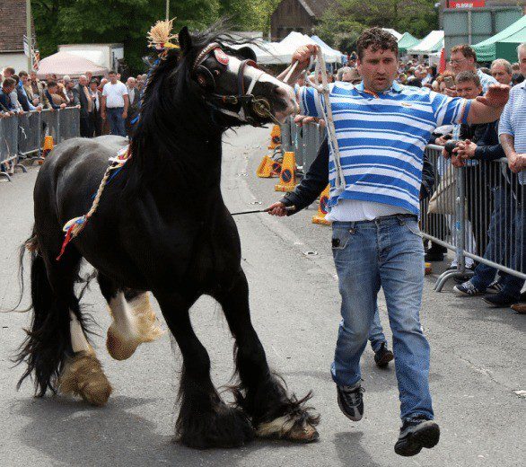 Police warn of Wickham Road Closure for Horse Fair