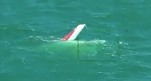 Two life-jacket wearing sailors have been dramatically rescued after 26ft capsized trimaran sinks