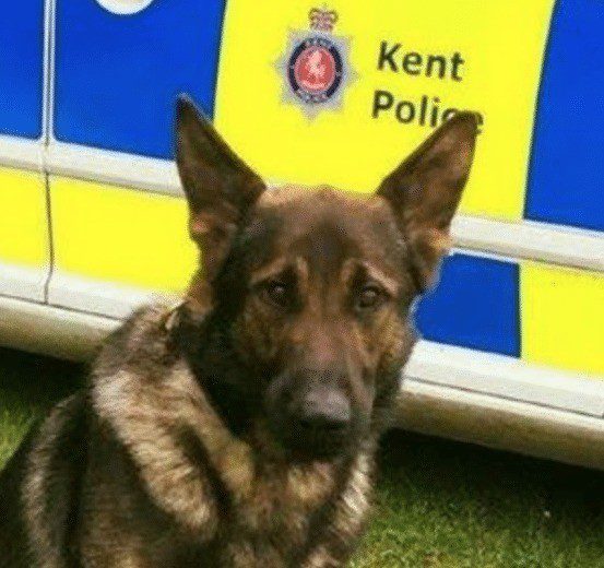 Firearms officers called to Broadstairs following  robbery