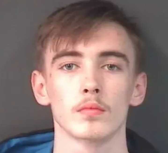 An eighteen year-old man has been sent to prison following burglaries in Gosport