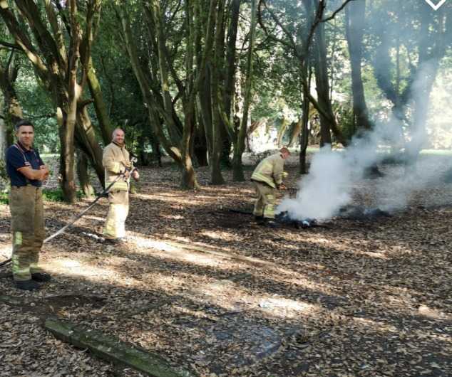 Probe Launched After Youths Spotted Setting Fire To Trees In Sandown