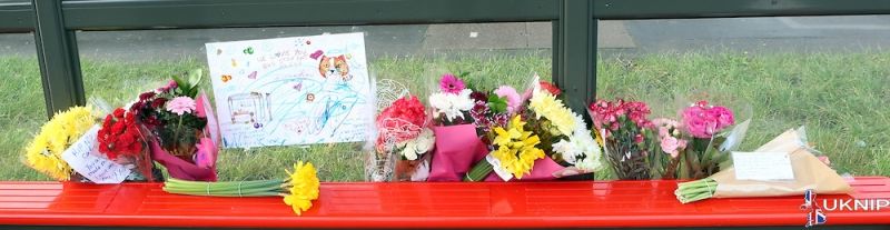 Missy The Havant  Bus Stop Cat Was Hit By A Car