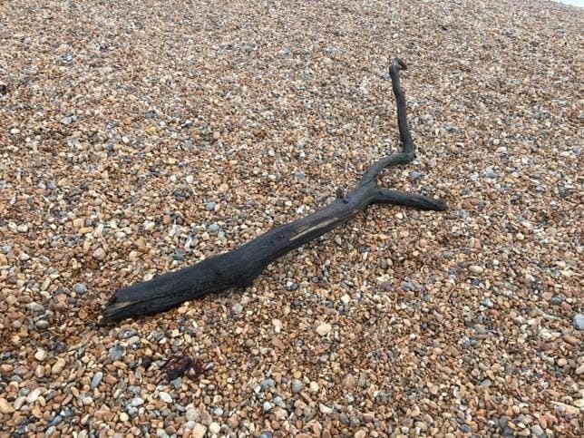 Eastbourne lifeboat launched to suspected body in the water