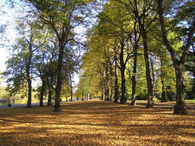 Man Taken Ill At Barking Park Not Stabbed Say Police