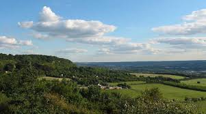 Information Is Sought By Officers Investigating Allegations A Man Indecently Exposed Himself In Woodland Near Blue Bell Hill