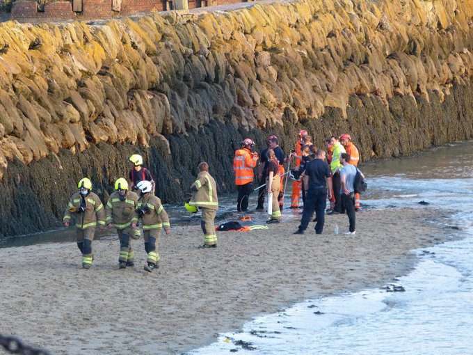 Animal And Technical Rescue Specialists Called To Folkestone Harbour To Assist With A Rescue