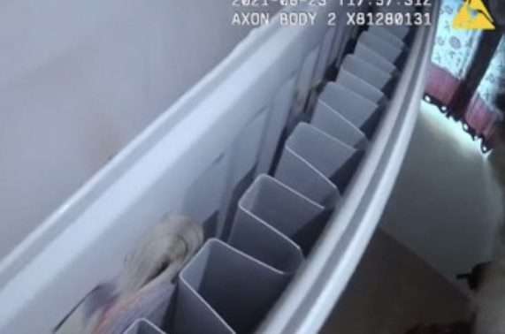 More Than £1,500 Was Found Rolled Up Inside A Radiator By A Kent Police Dog During The Search Of A Property In Station Road, Whitstable