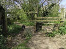 Witnesses Are Being Sought After An Attempted Robbery Was Reported In Ashford